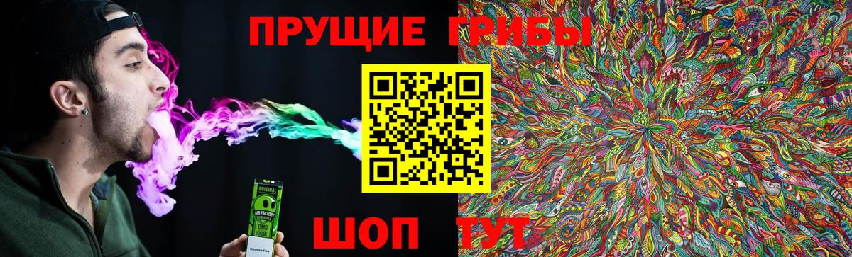 Галлюциногенные грибы Psilocybe Волгодонск